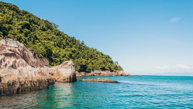 Costão de grandes rochas rosadas ao pé de encosta de mata com palmeiras, junto a mar turquesa, nas ilhas da Costa Sul de São Sebastião