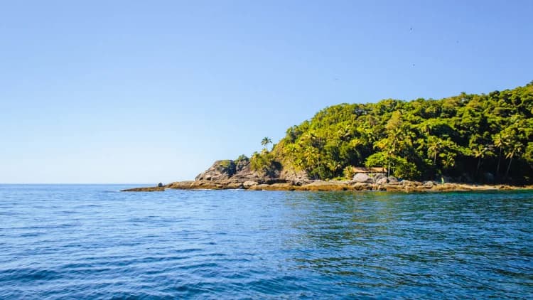 Ponta de ilha com coqueiros e mata sobre costão de pedras, vista do mar azul e calmo, nas ilhas da Costa Sul de São Sebastião