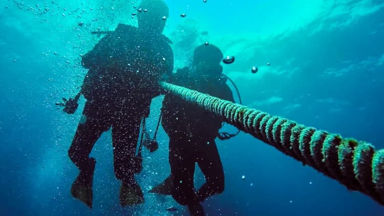Try Scuba Diving – Ilha das Cabras