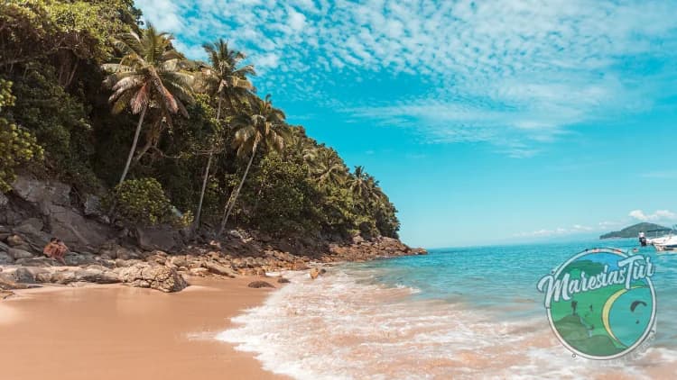 Praia de areia dourada junto a costão com coqueiros e mata, com mar verde-azulado e ondas suaves, nas ilhas da Costa Sul de São Sebastião