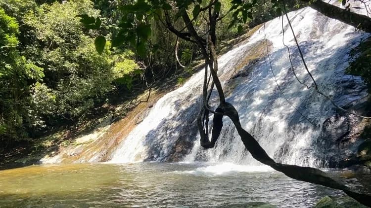Cascada que baja por la roca inclinada hasta el pozo, vista entre ramas y lianas, en la Cachoeira das 7 Quedas, en Maresias