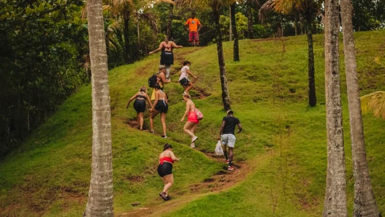 Grupo de visitantes sobe uma encosta gramada por trilha de terra entre palmeiras, com o guia à frente, em São Sebastião